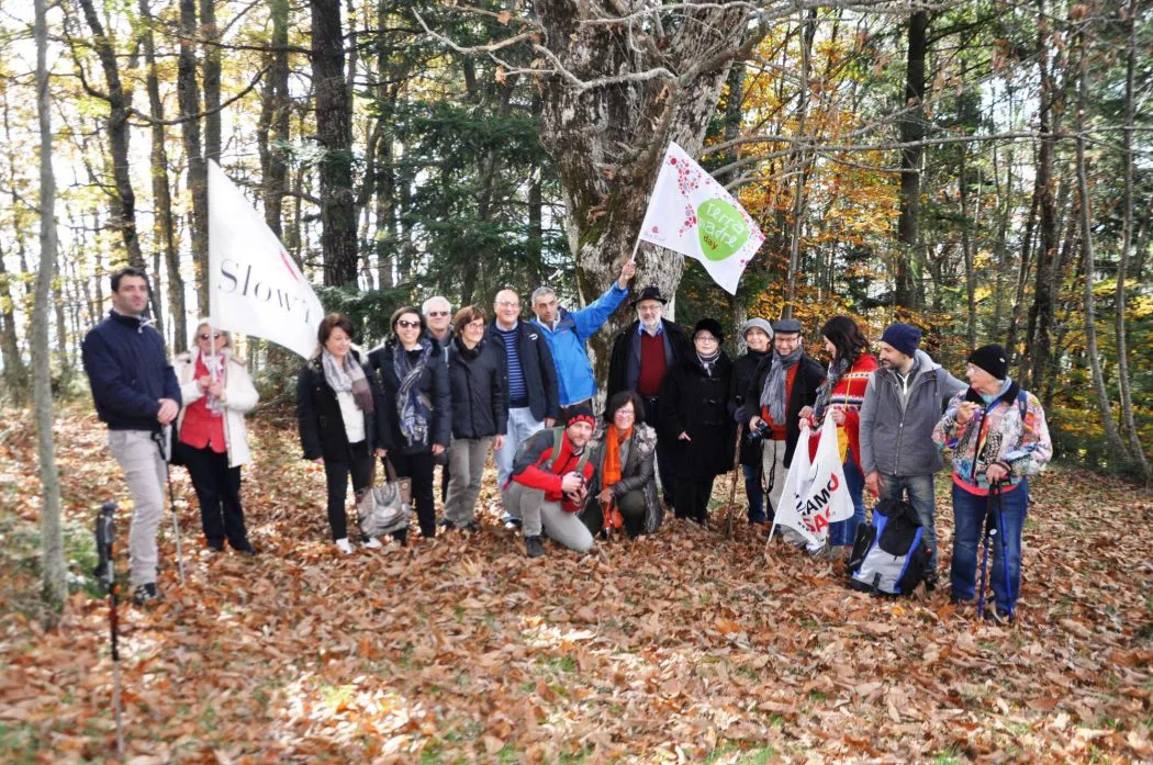 Gemellaggio Slow Food Piemonte e Calabria: Castagno coltura strategica anche per l’area del Reventino