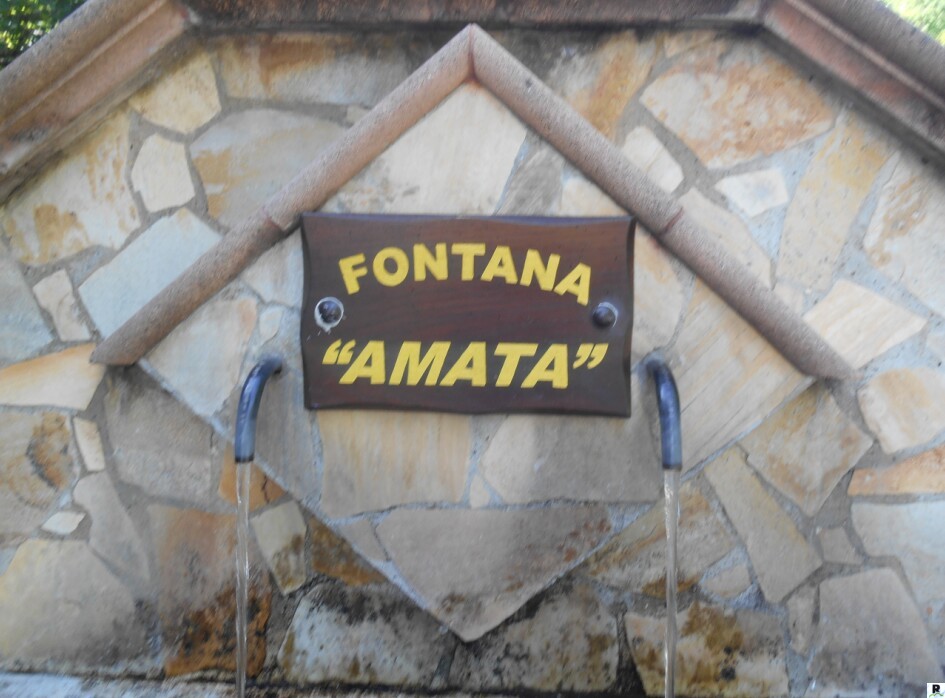 Soveria Mannelli: “Fontana Amata” dai ragazzi della II A