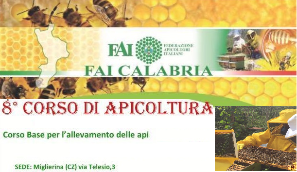 Un corso di apicoltura per imparare le tecniche di allevamento delle api