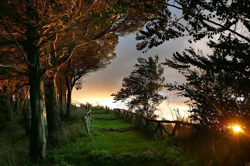 La strada (Tiriolo). E il cielo come meta… in una foto di Antonio Renda