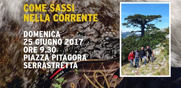 “Come sassi nella corrente” escursione con arrivo nella fresca e rigogliosa faggeta di Serrastretta