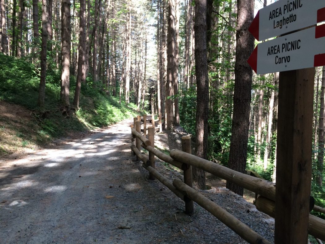 Elisir di lunga vita: accertate le qualità organolettiche dell’acqua di Parco Bombarda a Martirano Lombardo