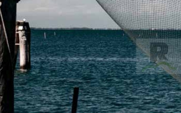 Una rete per pescare idee e suggestioni: Sciabaca di Rubbettino come opportunità di crescita culturale