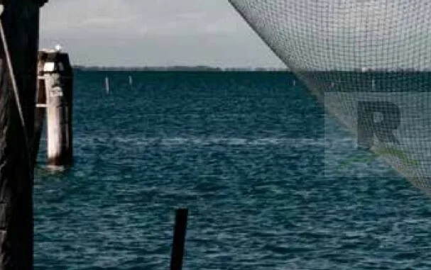 Pesca, in arrivo ristori per 500mila euro. Gallo: «Sostegno vitale per le nostre imprese»
