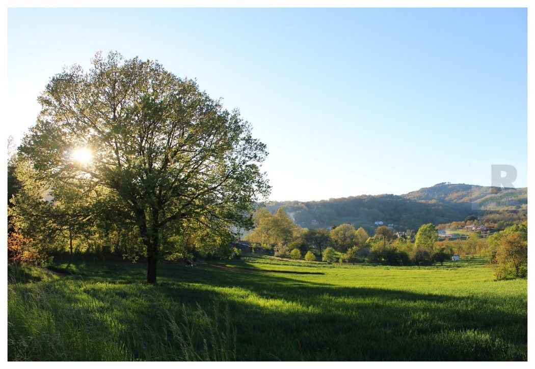 “Alberi e Paesaggi del Reventino” il contest fotografico promosso da Discovering Reventino