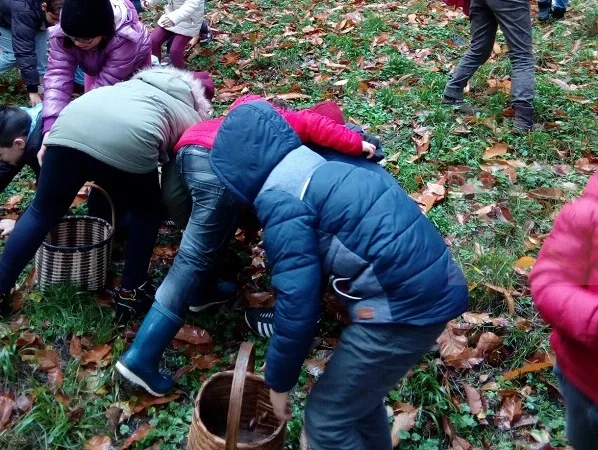 Martirano, gli studenti alla scoperta del bosco e dei suoi frutti con Conflenti Trekking