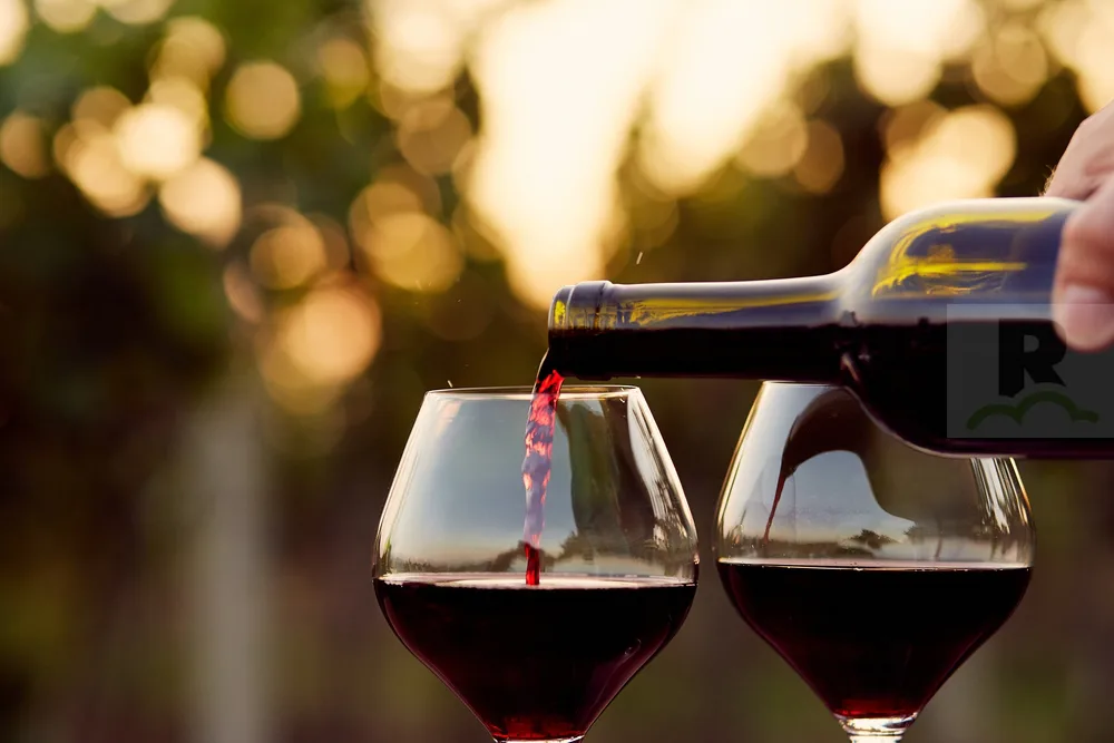 Conclusa la Rassegna dei Vini Novelli Calabresi 2017: vincono le Cantine Spadafora
