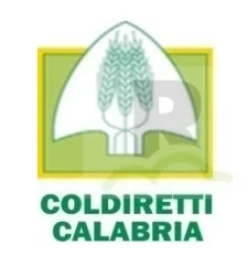 Coldiretti Calabria: domani giornata mondiale delle api, gli alveari sono affamati a causa del clima