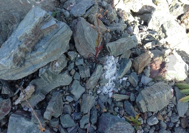 Amianto naturale maggiore concentrazione sul Monte Reventino, secondo ricerca Arpacal