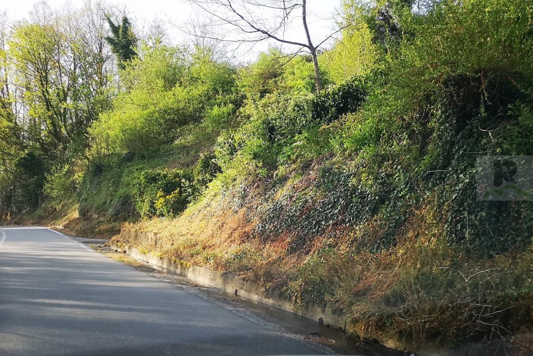 Coldiretti chiede di non usare il glifosato per il diserbo, intanto sulle strade l’erba secca