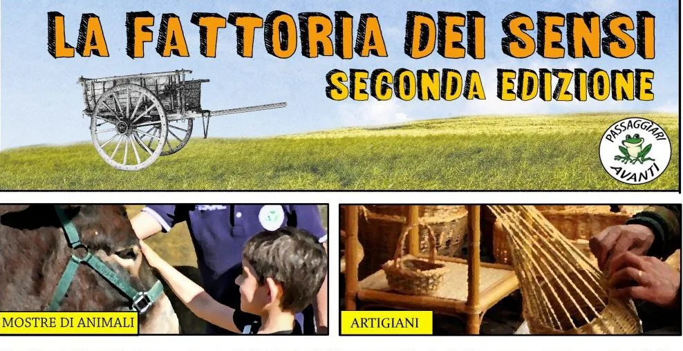A Decollatura la Seconda Edizione della Fattoria dei Sensi
