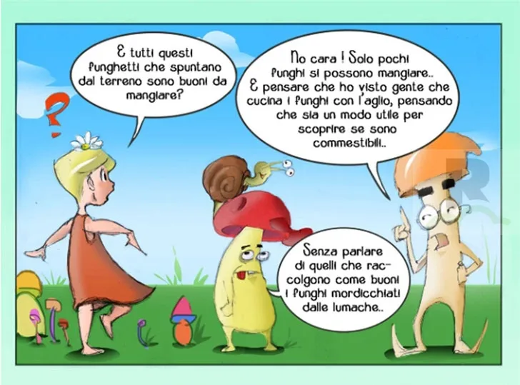 Asp Catanzaro: Un fumetto spiegherà i funghi ai bambini delle scuole primarie