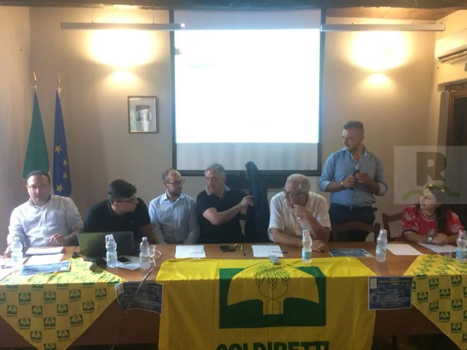 A Serrastretta incontro Coldiretti, fatto il punto sulla presenza dei cinghiali nelle campagne