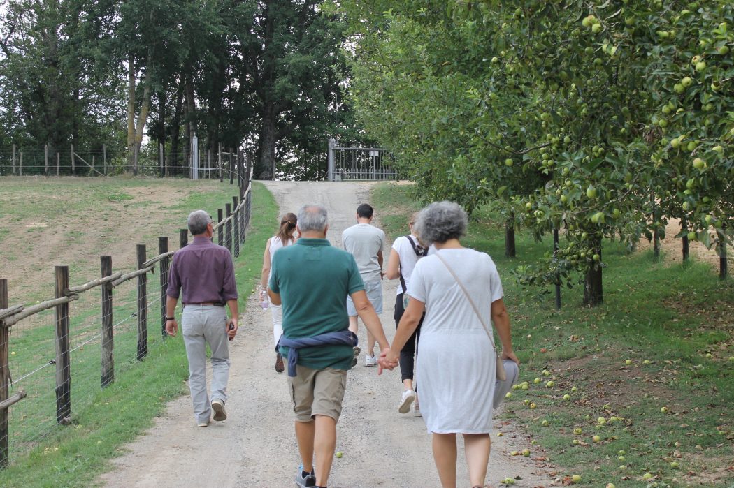 Sulla strada dei sogni nel Reventino: C@rlopolis per valorizzare le risorse umane e imprenditoriali del territorio