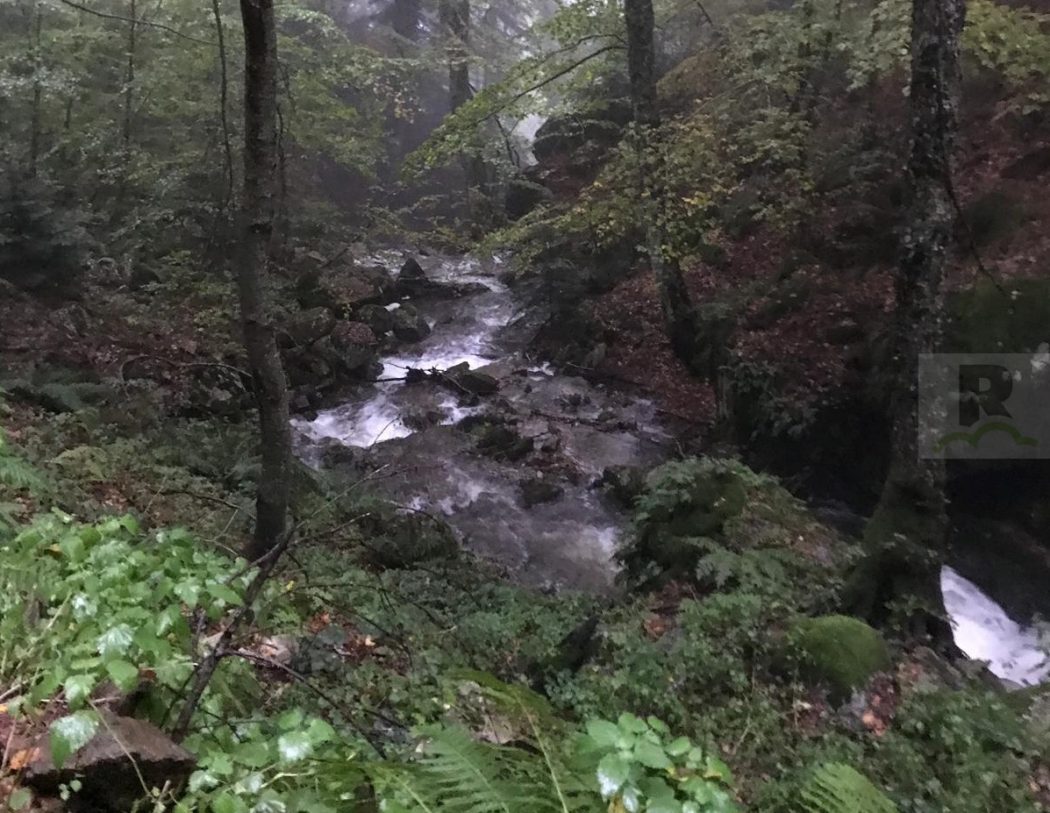 Istituire il “Parco del Reventino” è un’opportunità da valutare per l’intero entroterra