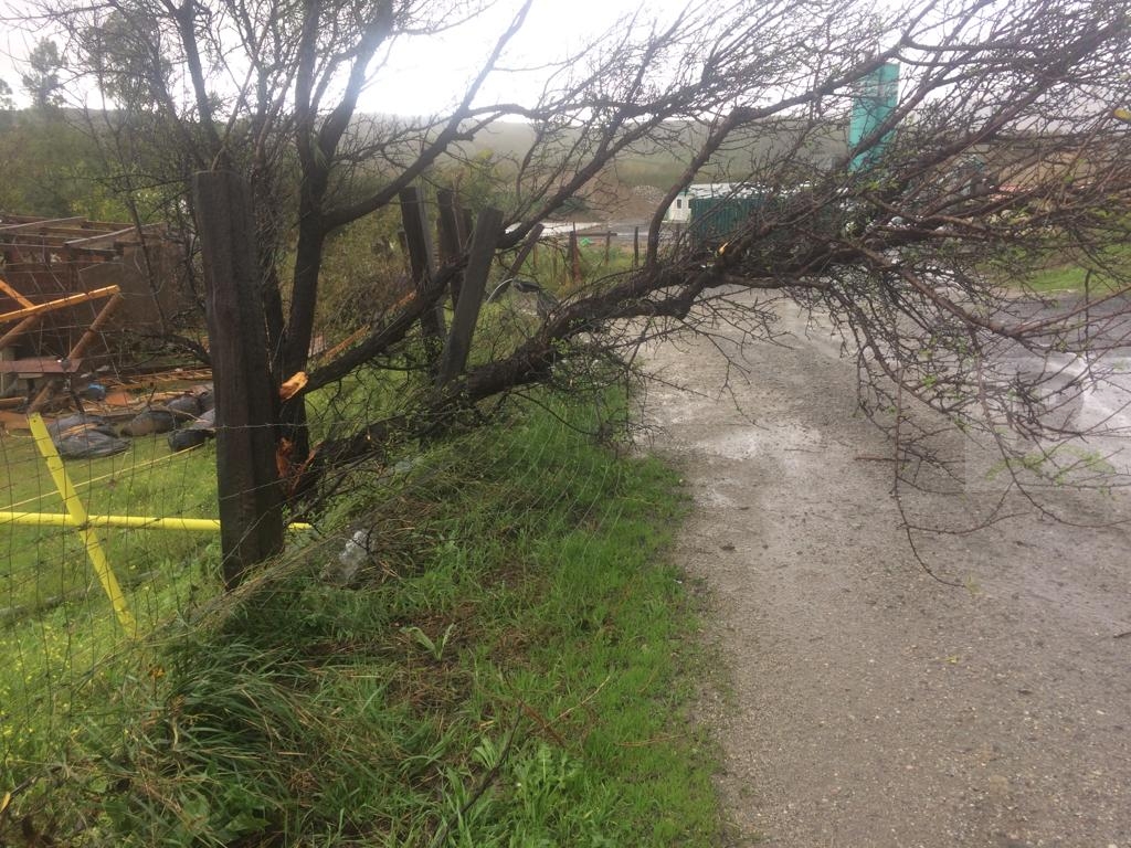 Condizioni climatiche fuori dalla norma sulla costa ionica: danni consistenti