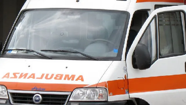 Chiusura Pet Tiriolo, gruppo “Primavera per Tiriolo” scrive lettera