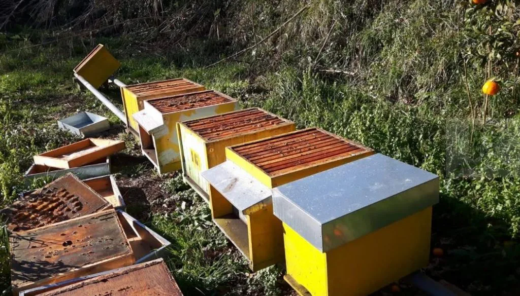 Coldiretti: terzo atto vandalico in un anno nell’azienda apistica di Pagnotta Josephine