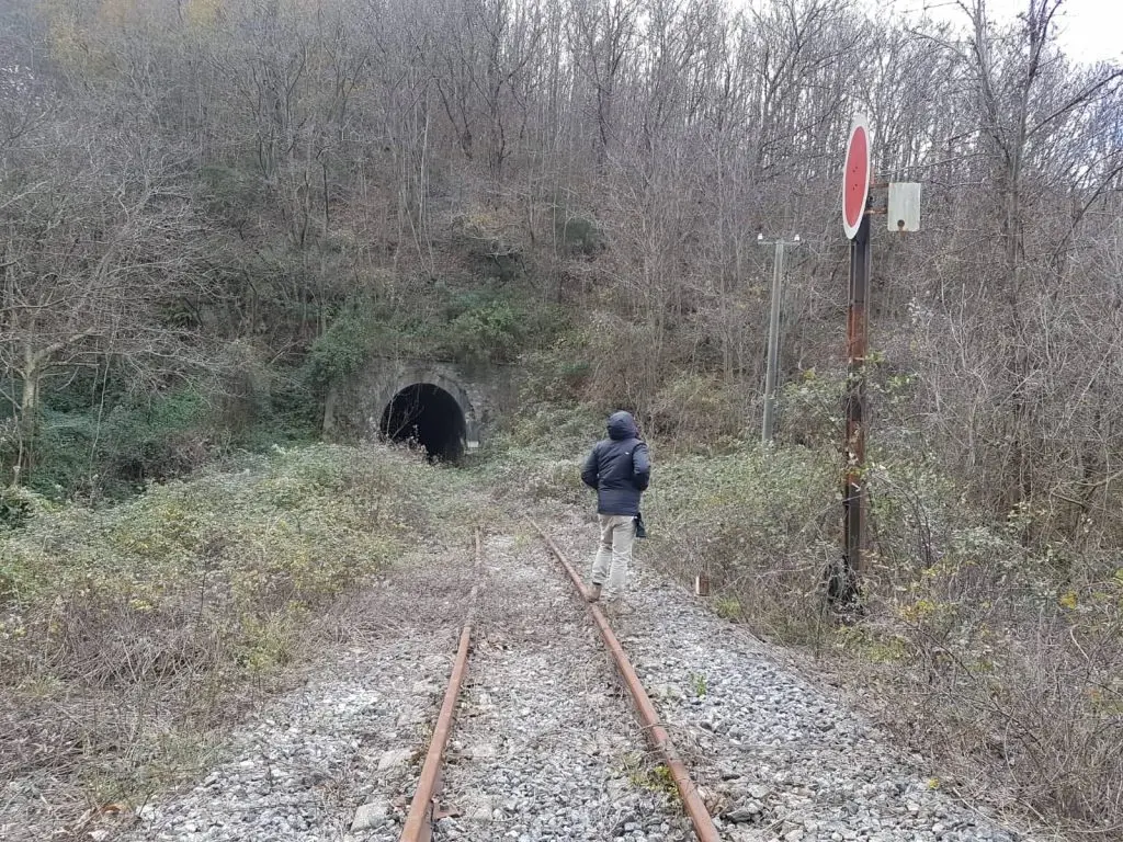 Ferrovia Cosenza-Catanzaro: una sintesi di questi ultimi 10 anni, tra passato e futuro