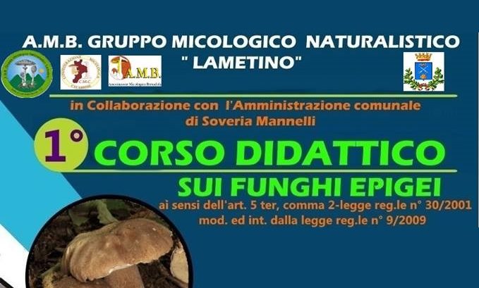 Soveria Mannelli – Corso didattico sui funghi epigei