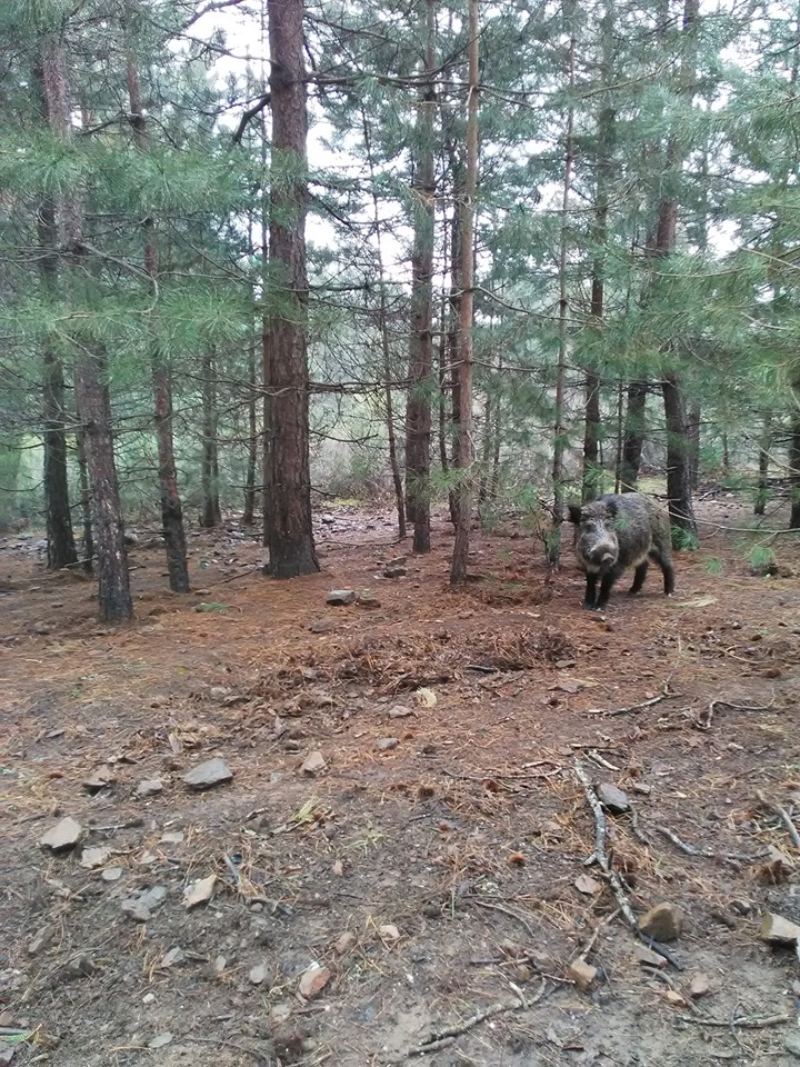 Tutti pazzi per i carabinieri di “Don Matteo”.  Al via le riprese per la dodicesima stagione