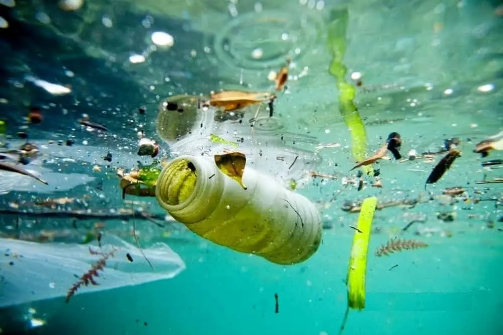 Mozione “Plastic free challenge” inviata a sette Comuni del litorale Jonico e Presila catanzarese