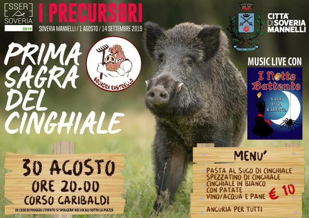 La prima sagra del cinghiale a Soveria Mannelli