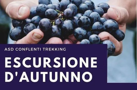 Conflenti, escursione dedicata all’autunno ed occasione per raccogliere le castagne