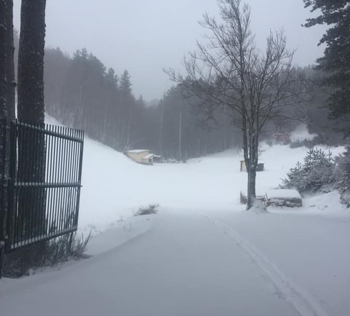 Scuola Sci Camigliatello, diffuso aggiornamento sull’innevamento e situazione piste