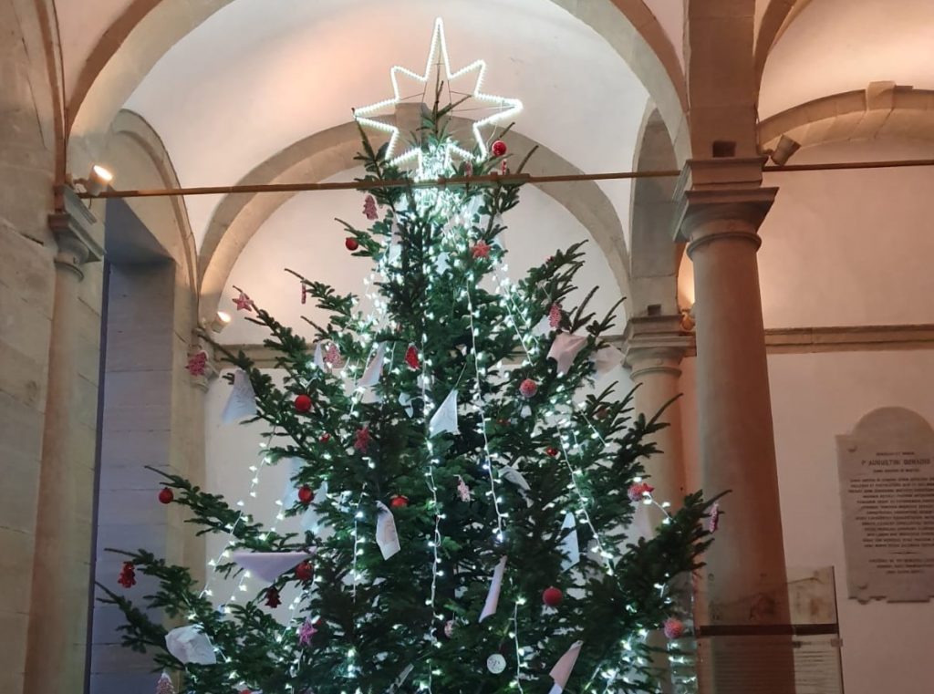 L’Albero della Pace illumina il Santuario di Paola