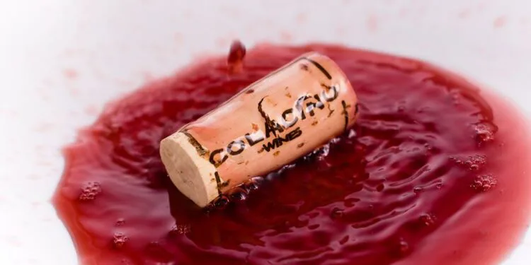 Il Savuto sbaraglia al botteghino del “The WineHunter Award”. L’imprenditore Mauro Colacino: «Sono veramente emozionato »