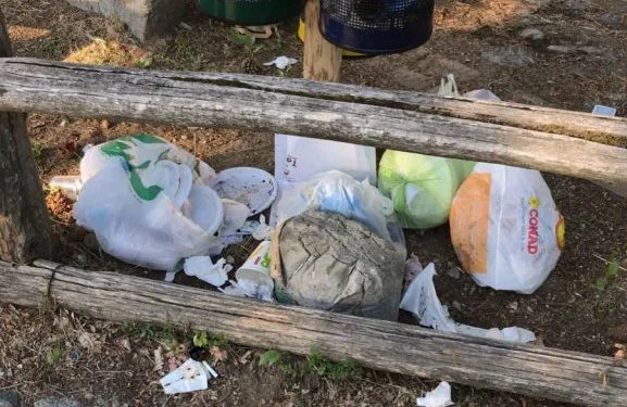 Pentone, ancora rifiuti in località Cafarda