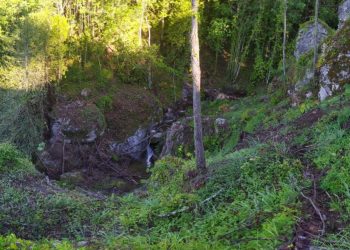 L’appello dell’associazione Discovering Reventino in seguito al danneggiamento del “Sentiero del Brigante Pietro Bianco”