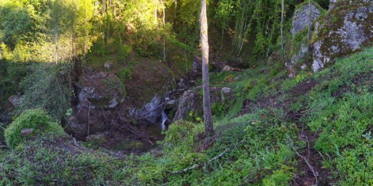 L’appello dell’associazione Discovering Reventino in seguito al danneggiamento del “Sentiero del Brigante Pietro Bianco”