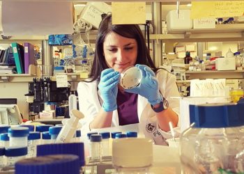 Sersale, la rivista «Nature Communications» parla di Lucia Falbo