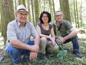 La Calabria è ricchissima di orchidee selvatiche e non solo