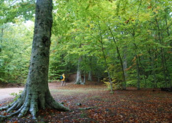 Per rivalutare le Aree interne, il Festival delle Erranze e della filoxenia 2020