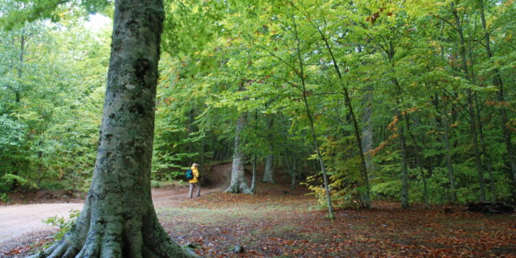 Per rivalutare le Aree interne, il Festival delle Erranze e della filoxenia 2020