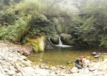 Sersale, successo per il dog walking