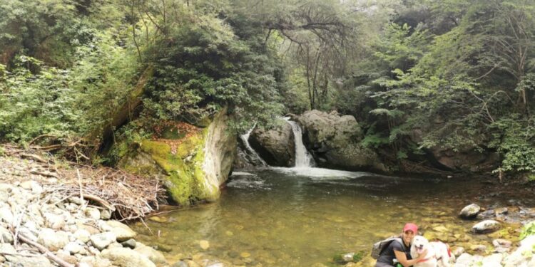 Sersale, successo per il dog walking