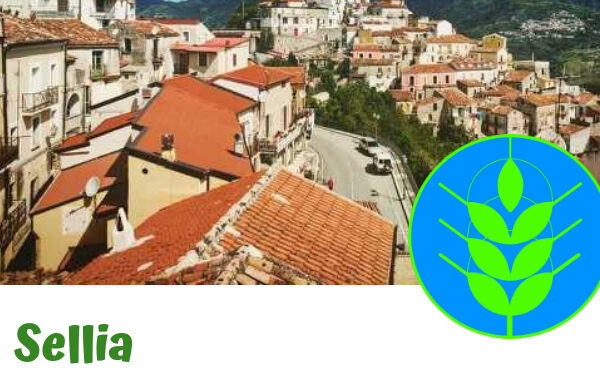 Sellia, eccellenza italiana nella tutela ambientale: assegnato riconoscimento Spiga Verde 2020