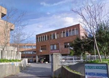 Sanità, De Caprio (FI): “Il Punto nascita di Cetraro sarà, finalmente, adeguato”