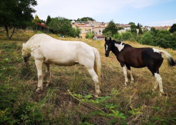 La vacanza cult dell’estate calabrese è green alla scoperta dei piccoli borghi e centri minori