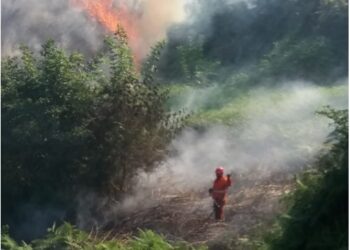 Conflenti, cronaca di una giornata operativa del gruppo comunale di protezione civile