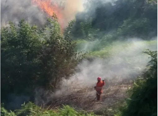 Conflenti, cronaca di una giornata operativa del gruppo comunale di protezione civile