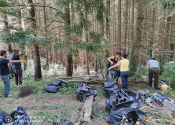 Giornata Ecologica sul Reventino promossa dall’Associazione Discovering Reventino