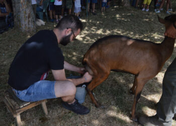 Festival delle erranze e della filoxenia: “Custodire il paesaggio” e “passeggiata fra gli antichi saperi contadini”