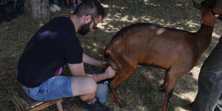 Festival delle erranze e della filoxenia: “Custodire il paesaggio” e “passeggiata fra gli antichi saperi contadini”