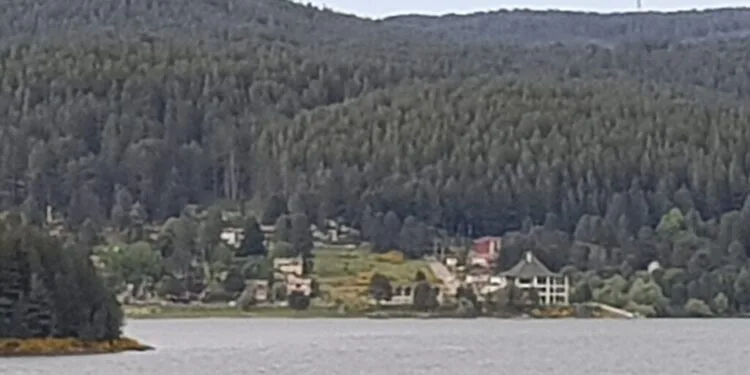 “Lorica libro amica 2020” si trasferisce presso la sede del Parco Nazionale della Sila