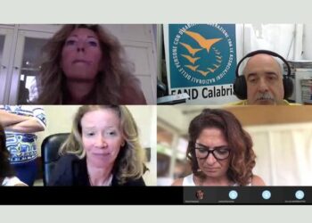 Incontro tra l’assessore Savaglio, Fish Calabria, Fand e Usr per la Calabria